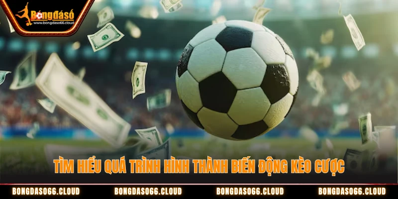 Tìm hiểu quá trình hình thành biến động kèo cược